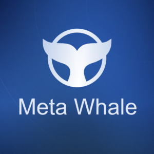 Read more about the article 5 Proven Ways To Profit From Meta Whale’s Decentralized Platform