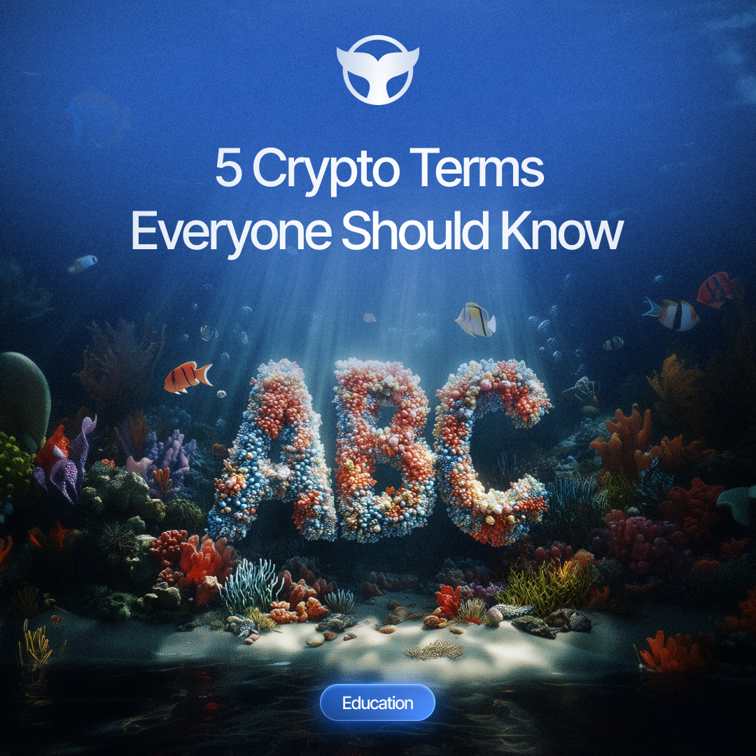 You are currently viewing 5 Crypto Terms You Must Understand to Avoid Costly Mistakes