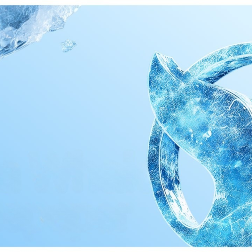 🐋Meta Whale – The Ultimate Web3 Ecosystem of Innovation and Power